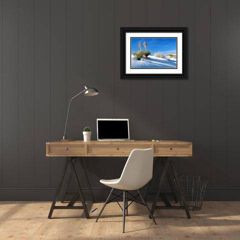 Sand Shadows II Black Ornate Wood Framed Art Print with Double Matting by Taylor, Douglas