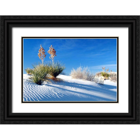 Sand Shadows II Black Ornate Wood Framed Art Print with Double Matting by Taylor, Douglas