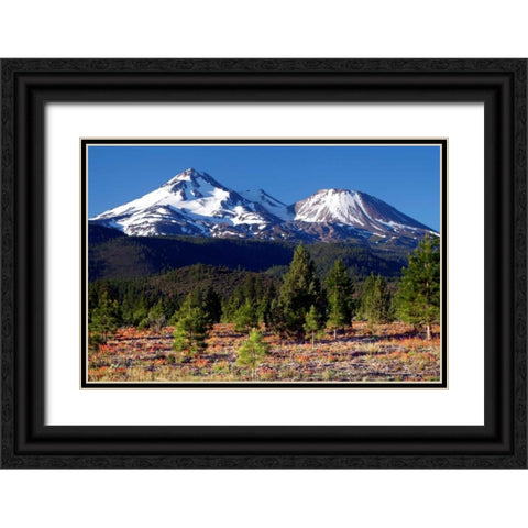 Morning in Shasta Black Ornate Wood Framed Art Print with Double Matting by Taylor, Douglas