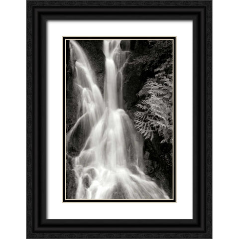 Falling Water I BW Black Ornate Wood Framed Art Print with Double Matting by Taylor, Douglas