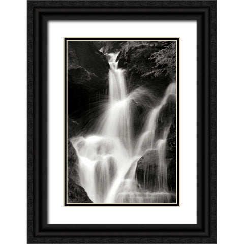 Falling Water II BW Black Ornate Wood Framed Art Print with Double Matting by Taylor, Douglas