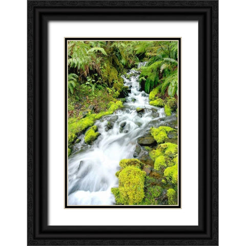 Mountain Stream Black Ornate Wood Framed Art Print with Double Matting by Taylor, Douglas