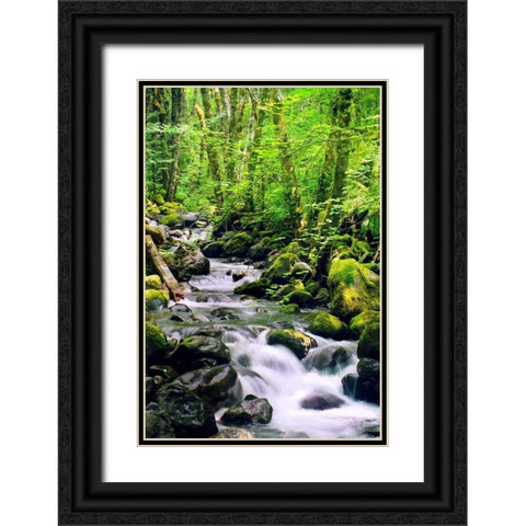 Snowmelt Black Ornate Wood Framed Art Print with Double Matting by Taylor, Douglas