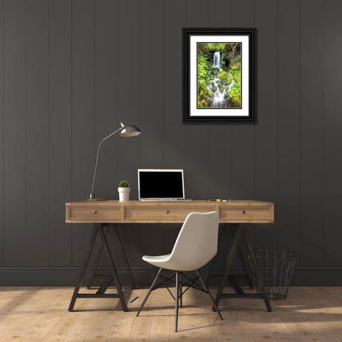 Rainforest Falls Black Ornate Wood Framed Art Print with Double Matting by Taylor, Douglas