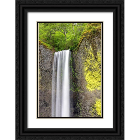 Latourell Falls Black Ornate Wood Framed Art Print with Double Matting by Taylor, Douglas