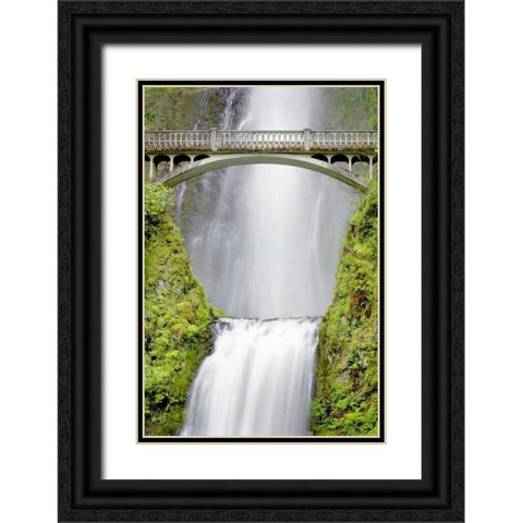 Water Under the Bridge Black Ornate Wood Framed Art Print with Double Matting by Taylor, Douglas