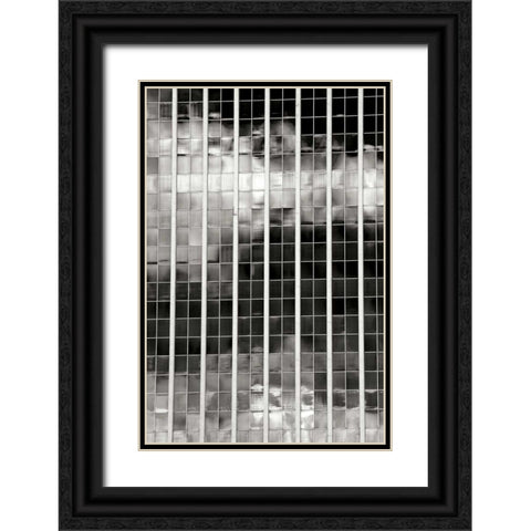 Sky Reflections BW Black Ornate Wood Framed Art Print with Double Matting by Taylor, Douglas