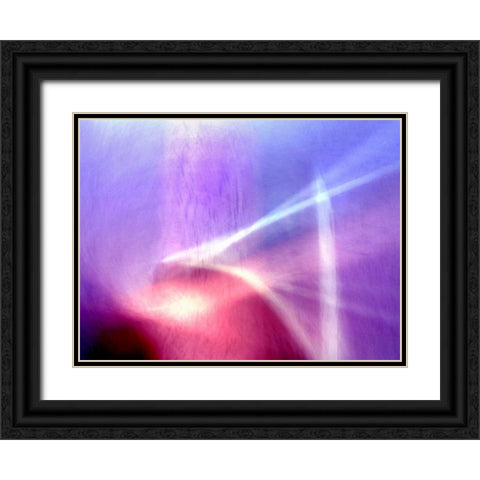 Sunken Forest Black Ornate Wood Framed Art Print with Double Matting by Taylor, Douglas