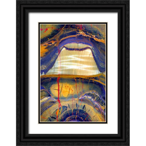 Tiger Eye Black Ornate Wood Framed Art Print with Double Matting by Taylor, Douglas