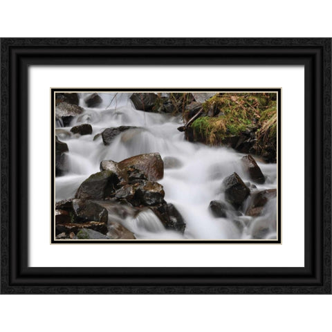 Stream Falls II Black Ornate Wood Framed Art Print with Double Matting by Thomas, Logan