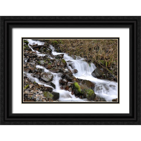 Stream Falls V Black Ornate Wood Framed Art Print with Double Matting by Thomas, Logan