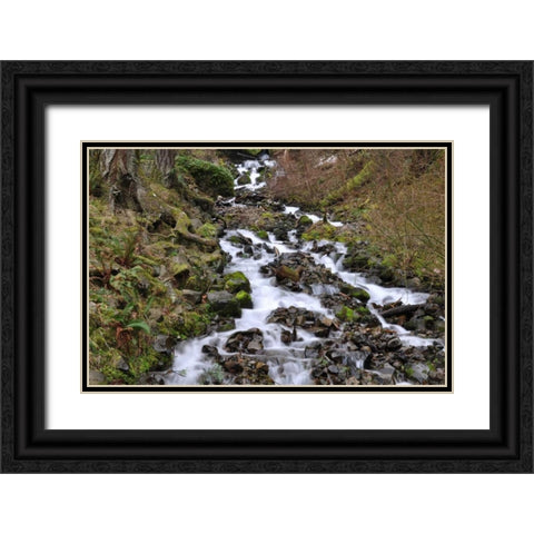Stream Falls VI Black Ornate Wood Framed Art Print with Double Matting by Thomas, Logan