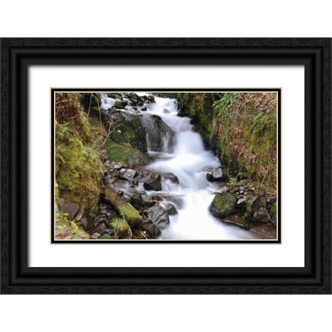 Stream Falls VII Black Ornate Wood Framed Art Print with Double Matting by Thomas, Logan