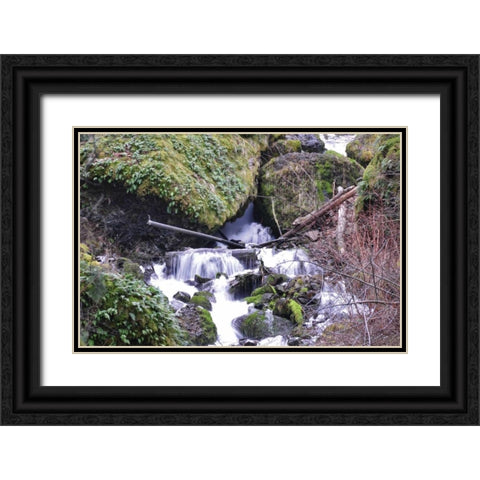 Stream Falls VIII Black Ornate Wood Framed Art Print with Double Matting by Thomas, Logan