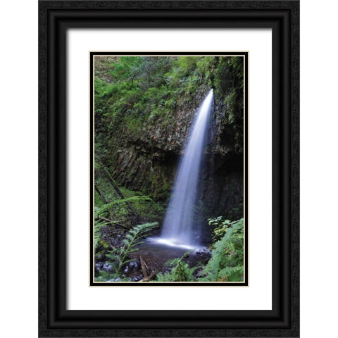 Serene Waterfall Black Ornate Wood Framed Art Print with Double Matting by Thomas, Logan