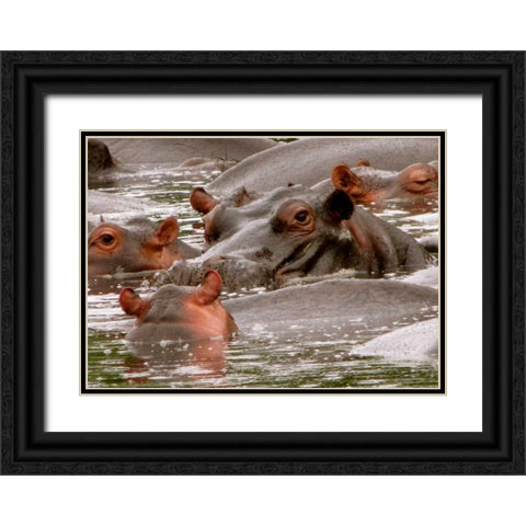 Hippo II Black Ornate Wood Framed Art Print with Double Matting by Underdahl, Dana