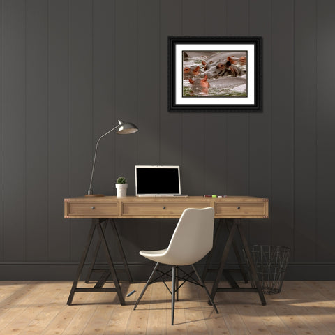 Hippo V Black Ornate Wood Framed Art Print with Double Matting by Underdahl, Dana