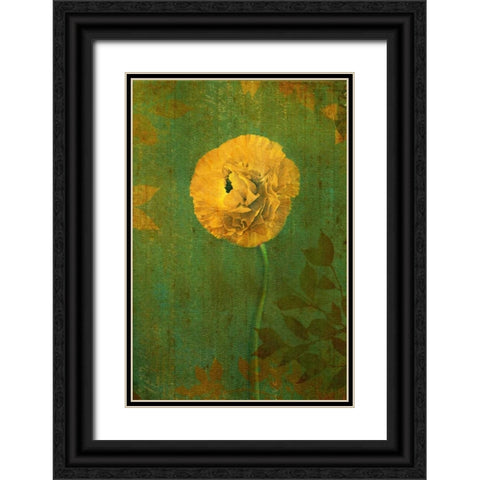 Yellow Renunculus Black Ornate Wood Framed Art Print with Double Matting by Geyman, Vitaly