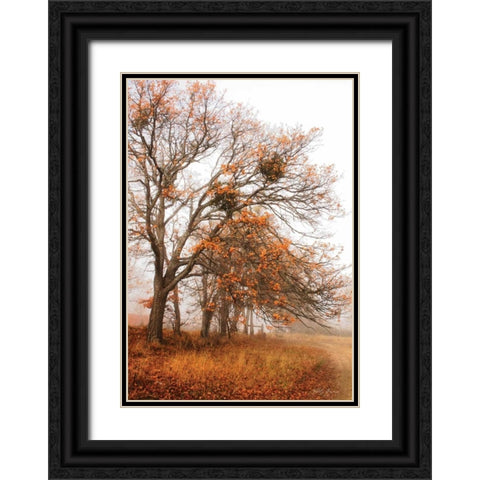 Autumn Lane Black Ornate Wood Framed Art Print with Double Matting by Geyman, Vitaly