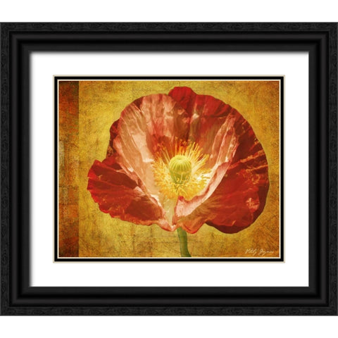 Sun Poppy II Black Ornate Wood Framed Art Print with Double Matting by Geyman, Vitaly