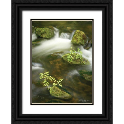 Soothing Waters III Black Ornate Wood Framed Art Print with Double Matting by Geyman, Vitaly