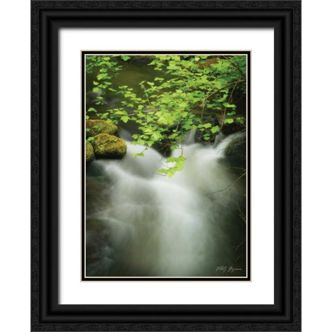 Soothing Waters V Black Ornate Wood Framed Art Print with Double Matting by Geyman, Vitaly