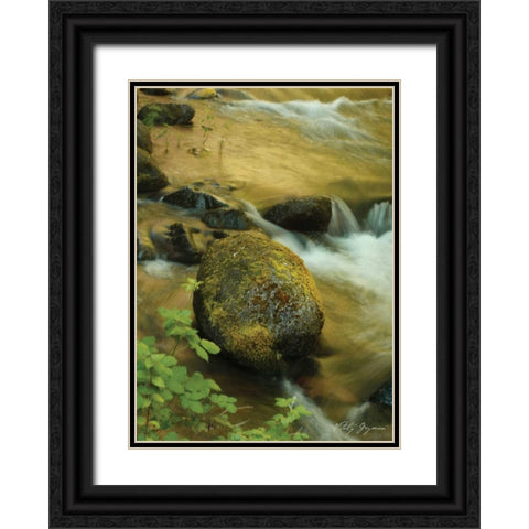 Soothing Waters IX Black Ornate Wood Framed Art Print with Double Matting by Geyman, Vitaly