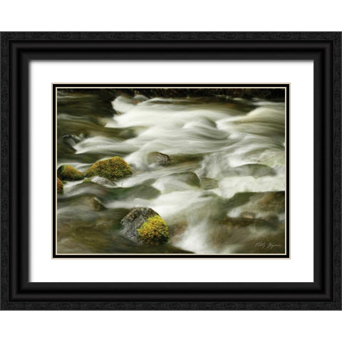 Soothing Waters XIII Black Ornate Wood Framed Art Print with Double Matting by Geyman, Vitaly