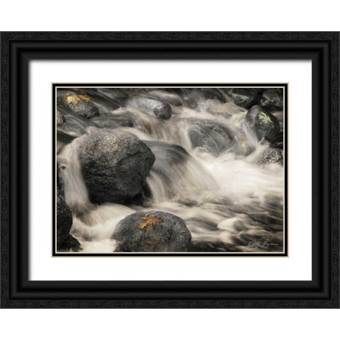 Silver Falls I Black Ornate Wood Framed Art Print with Double Matting by Geyman, Vitaly