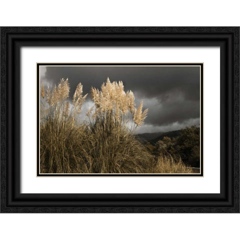 White Towers in the Storm I Black Ornate Wood Framed Art Print with Double Matting by Geyman, Vitaly
