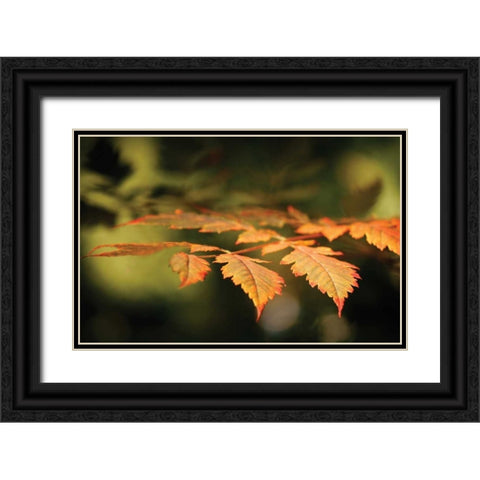 Autumn Fire Leaves II Black Ornate Wood Framed Art Print with Double Matting by Geyman, Vitaly