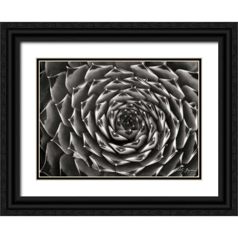Floral Labyrinth II Black Ornate Wood Framed Art Print with Double Matting by Geyman, Vitaly