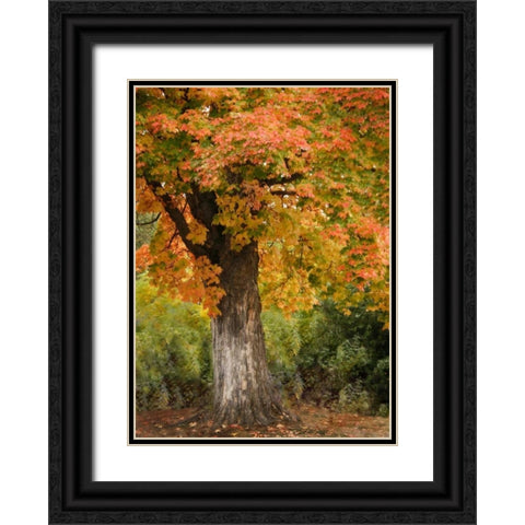 Fall Maple Fever I Black Ornate Wood Framed Art Print with Double Matting by Geyman, Vitaly