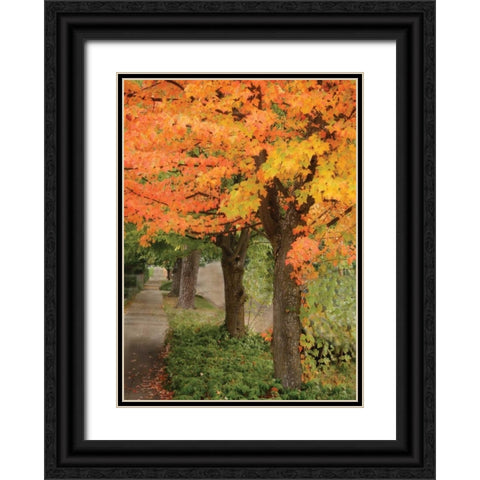 Fall Maple Fever II Black Ornate Wood Framed Art Print with Double Matting by Geyman, Vitaly