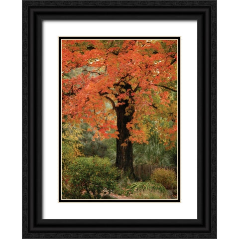 Fall Maple Fever III Black Ornate Wood Framed Art Print with Double Matting by Geyman, Vitaly