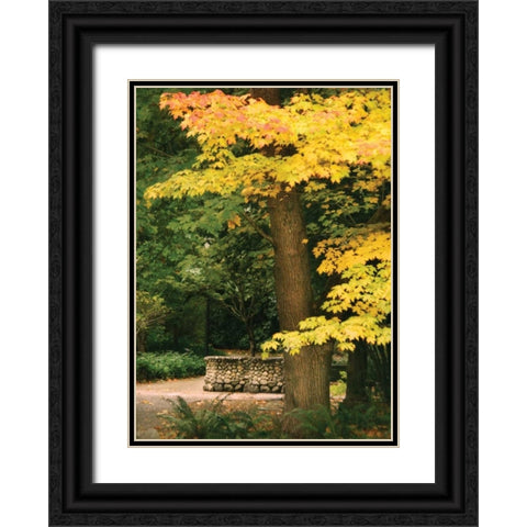 Fall Maple Fever XI Black Ornate Wood Framed Art Print with Double Matting by Geyman, Vitaly