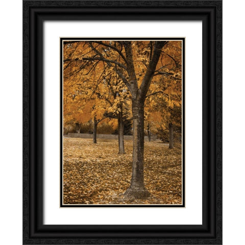 Fall Tree Grove I Black Ornate Wood Framed Art Print with Double Matting by Geyman, Vitaly