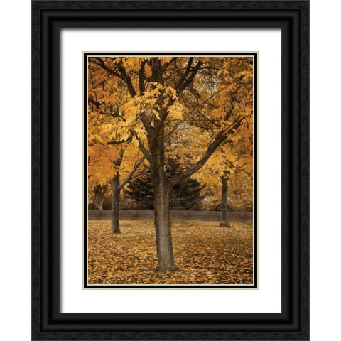 Fall Tree Grove II Black Ornate Wood Framed Art Print with Double Matting by Geyman, Vitaly
