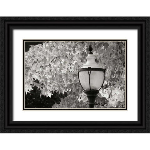 Fall Lighting II BandW Black Ornate Wood Framed Art Print with Double Matting by Geyman, Vitaly