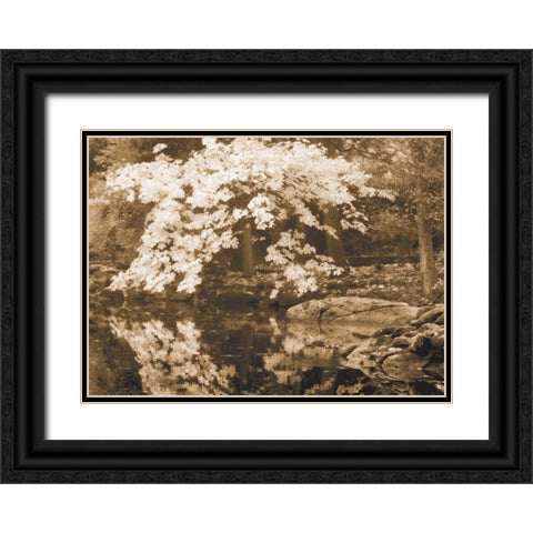 Autumn Reflections II Black Ornate Wood Framed Art Print with Double Matting by Geyman, Vitaly
