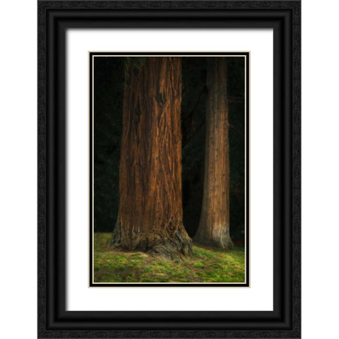 Ancient Forest II Black Ornate Wood Framed Art Print with Double Matting by Geyman, Vitaly