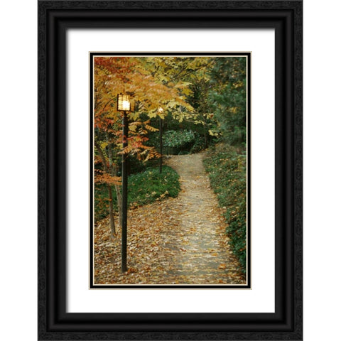 Autumn Path I Black Ornate Wood Framed Art Print with Double Matting by Geyman, Vitaly