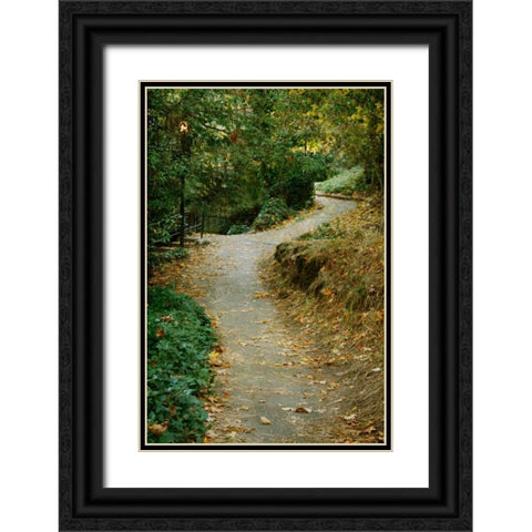 Autumn Path II Black Ornate Wood Framed Art Print with Double Matting by Geyman, Vitaly