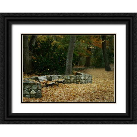 Autumn Paradise III Black Ornate Wood Framed Art Print with Double Matting by Geyman, Vitaly