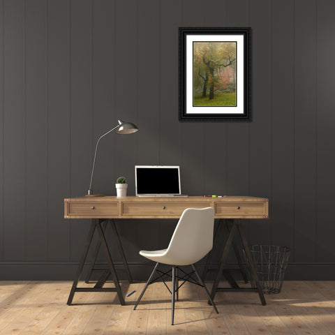 Colors in the Mist VI Black Ornate Wood Framed Art Print with Double Matting by Geyman, Vitaly