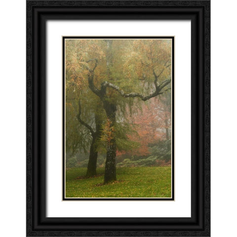 Colors in the Mist VI Black Ornate Wood Framed Art Print with Double Matting by Geyman, Vitaly