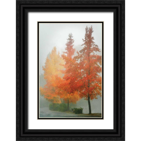 Colors in the Mist I Black Ornate Wood Framed Art Print with Double Matting by Geyman, Vitaly