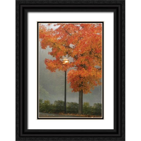Colors in the Mist II Black Ornate Wood Framed Art Print with Double Matting by Geyman, Vitaly