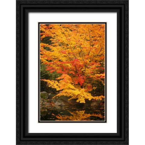 Fall Bouquet I Black Ornate Wood Framed Art Print with Double Matting by Geyman, Vitaly