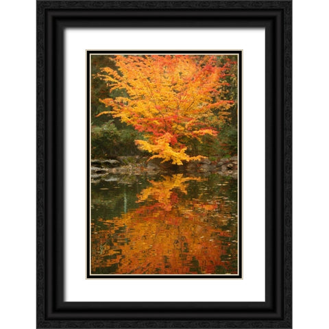Fall Bouquet II Black Ornate Wood Framed Art Print with Double Matting by Geyman, Vitaly